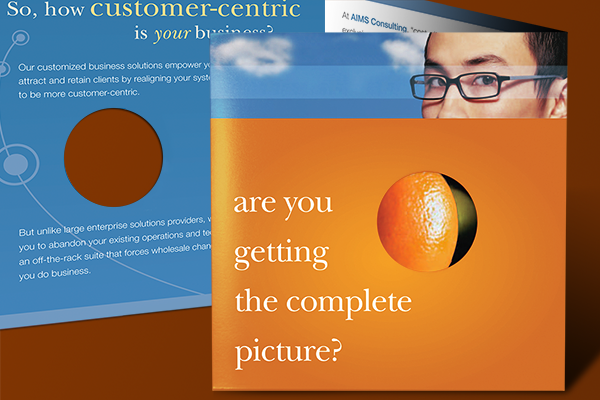Aims Consulting Brochure